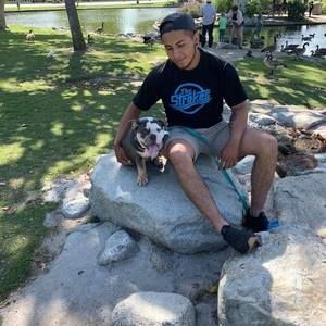 Meet your Posher, Henry